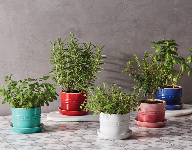 VASO DE ERVAS COM BANDEJA